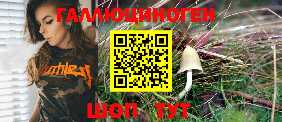 Галлюциногенные грибы Psilocybine cubensis Петрозаводск