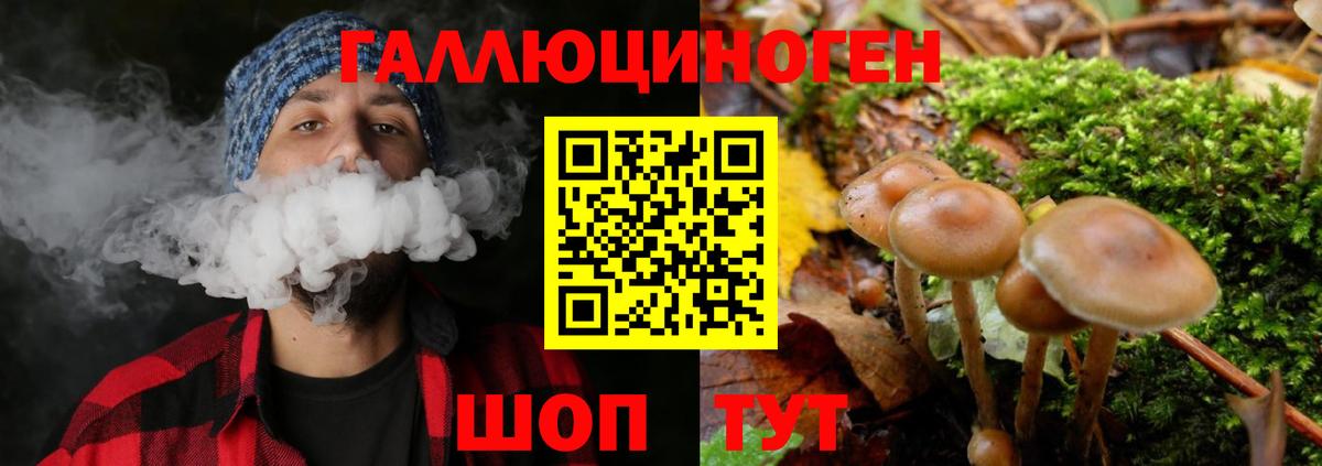 Псилоцибиновые грибы MAGIC MUSHROOMS  Вход с VPN  Петрозаводск 